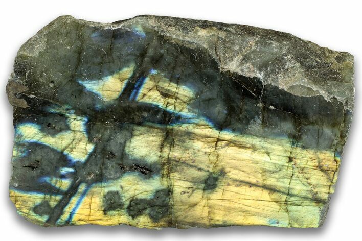 Single Side Polished Labradorite Section - Madagascar #324685